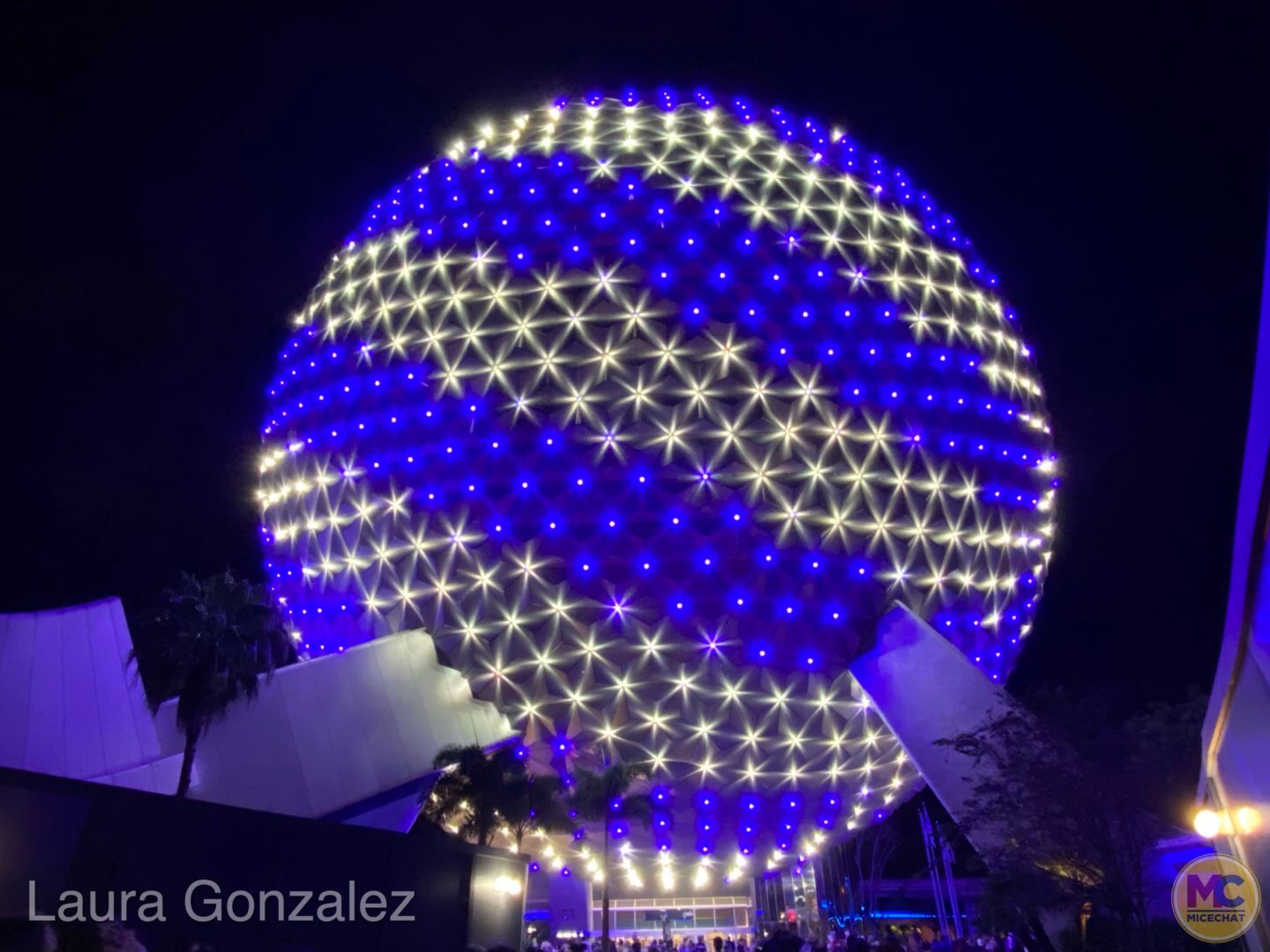 , Walt Disney World Update – New EARS Eve and Beyond
