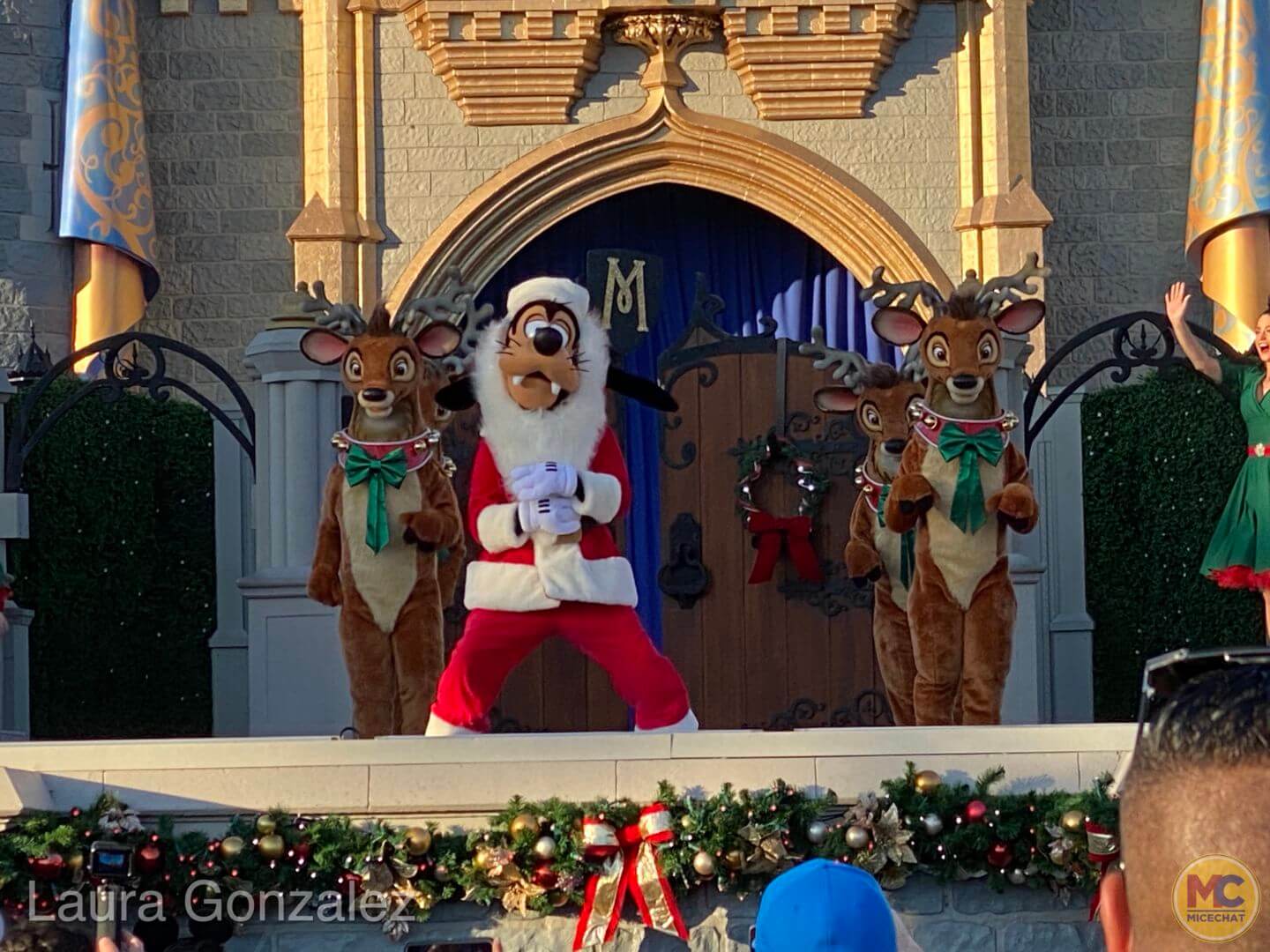 , Walt Disney World Update – New EARS Eve and Beyond