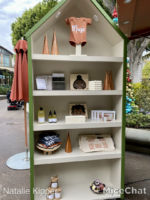 downtown-disney-post-21-display-2