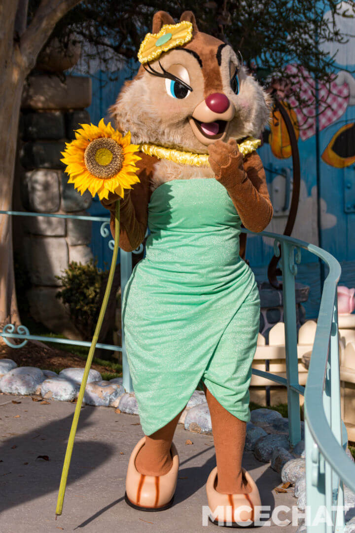 , Disneyland Update – The Return to Abnormal