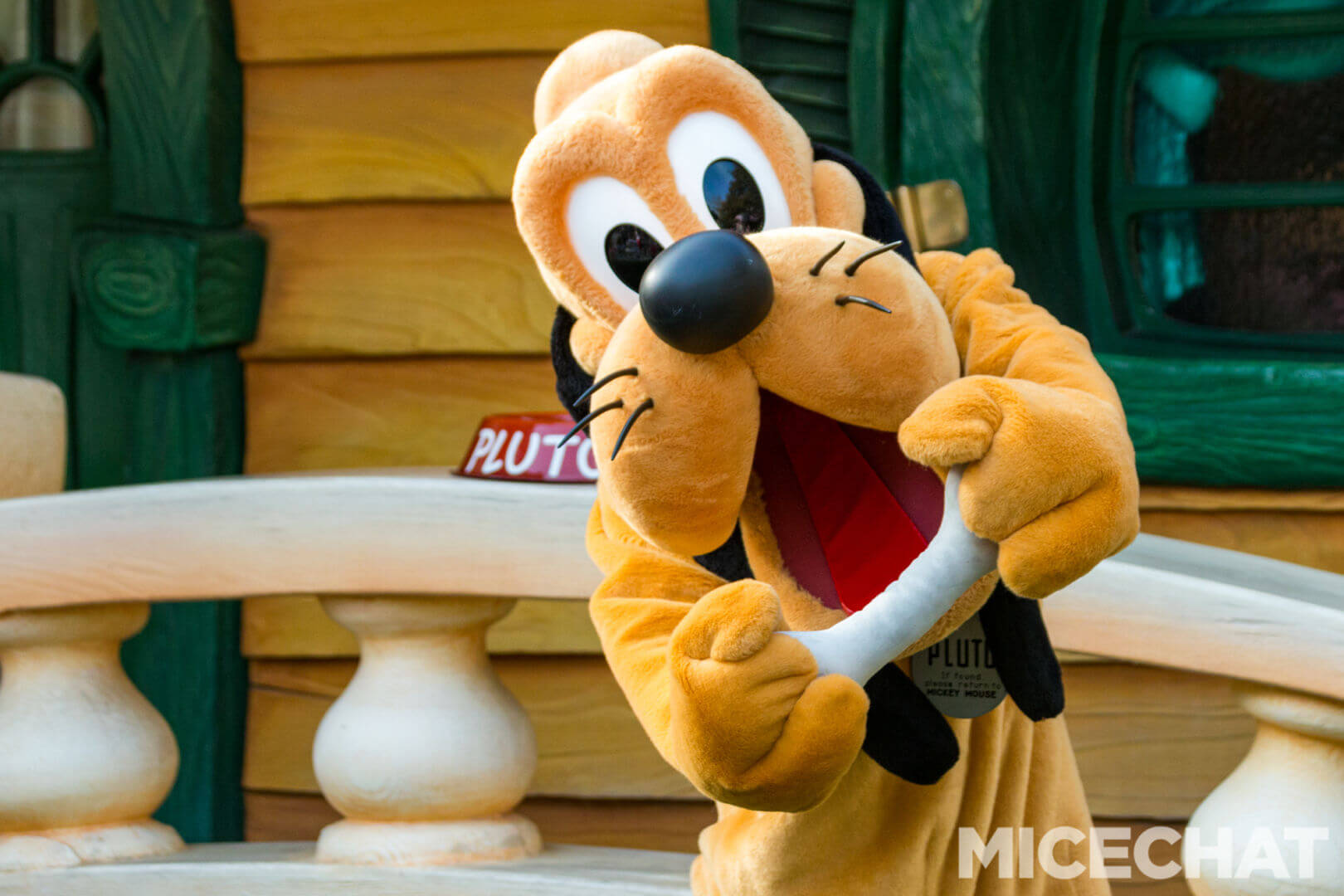, Disneyland Update – The Return to Abnormal