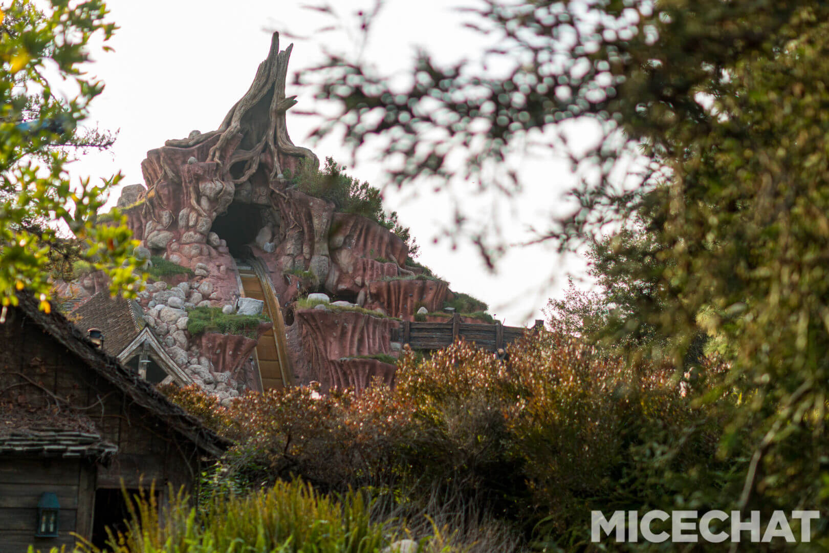 , Disneyland Update – The Return to Abnormal