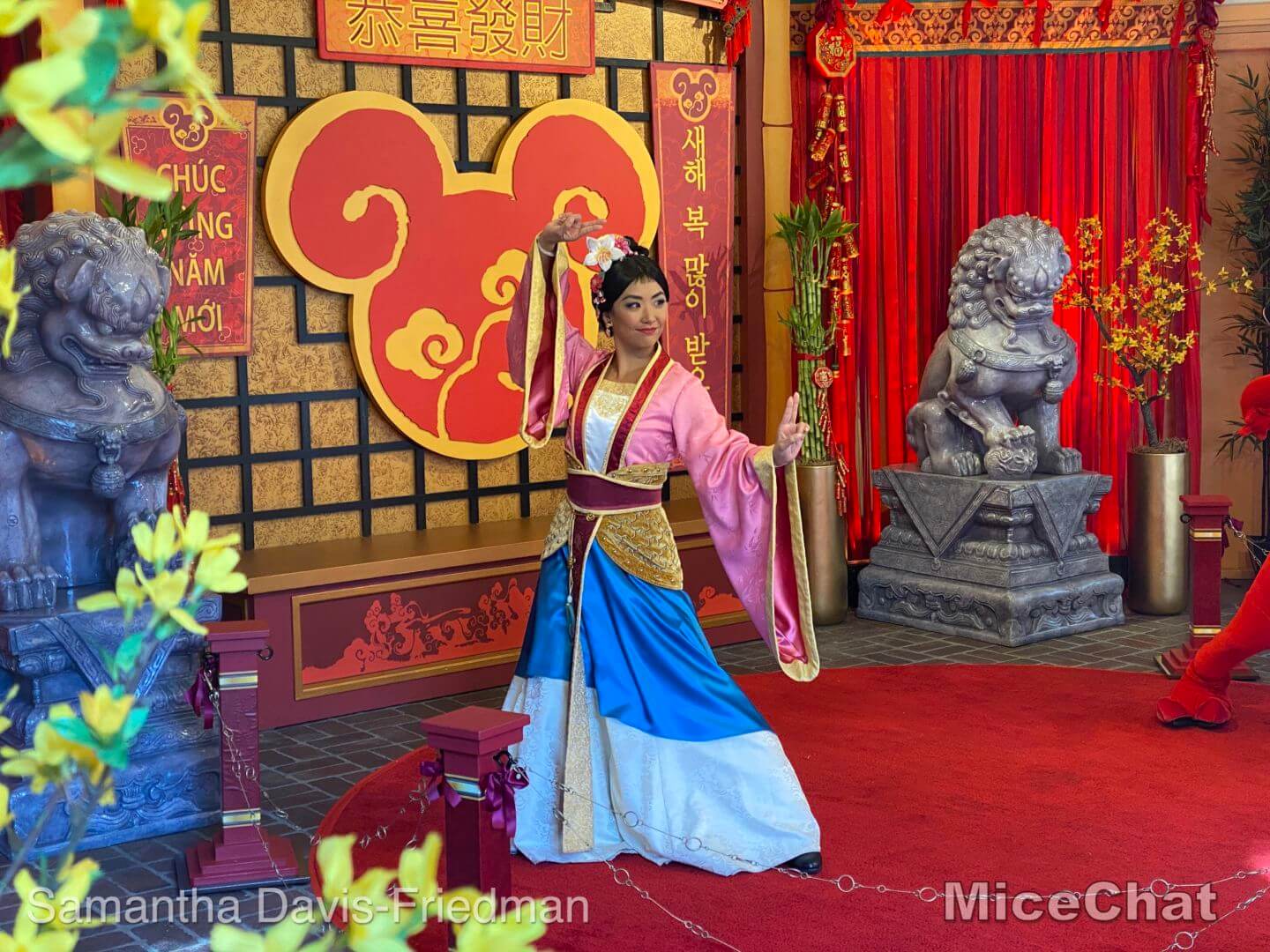 , Disney California Adventure Lunar New Year: Raya, Food &#038; Tigger Too!