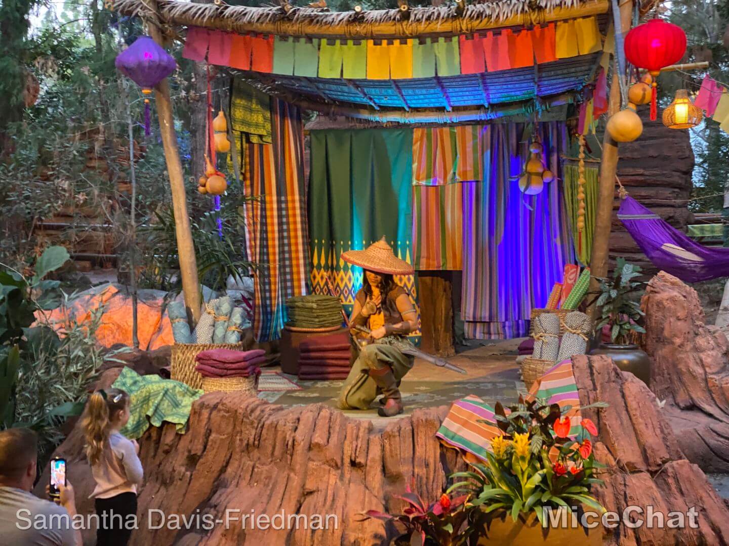 , Disneyland Update – Low Waits & Good Fortune
