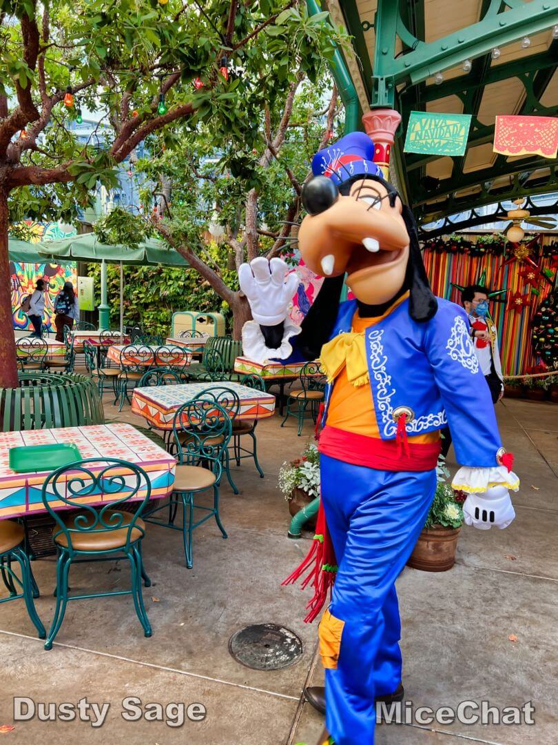 , Disneyland Update – New Year Magic and Mayhem