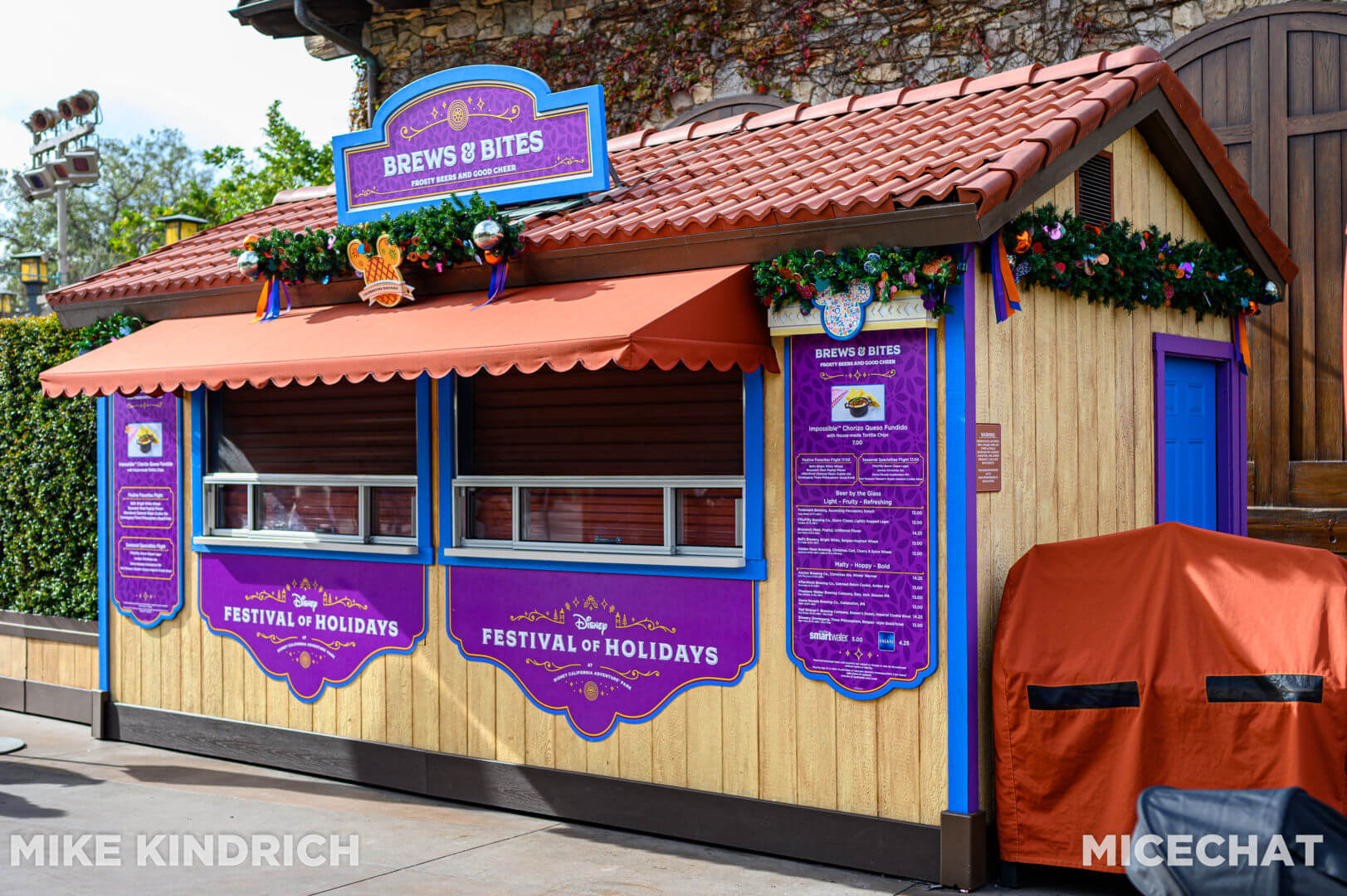 , Disneyland Update – The Return to Abnormal