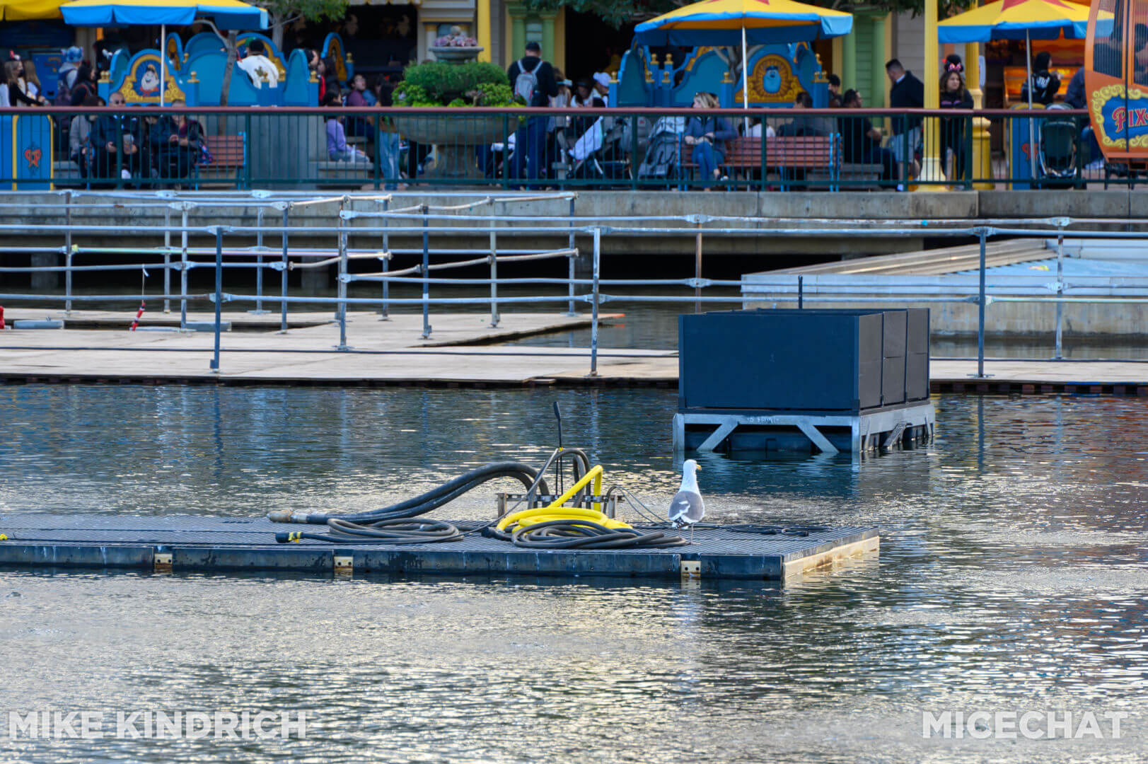 , Disneyland Update – New Year Magic and Mayhem