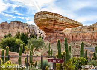 UPDATED Disneyland News: Radiator Springs Racers & Blue Bayou Reopened