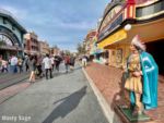 Disneyland Christmas Removal Indian