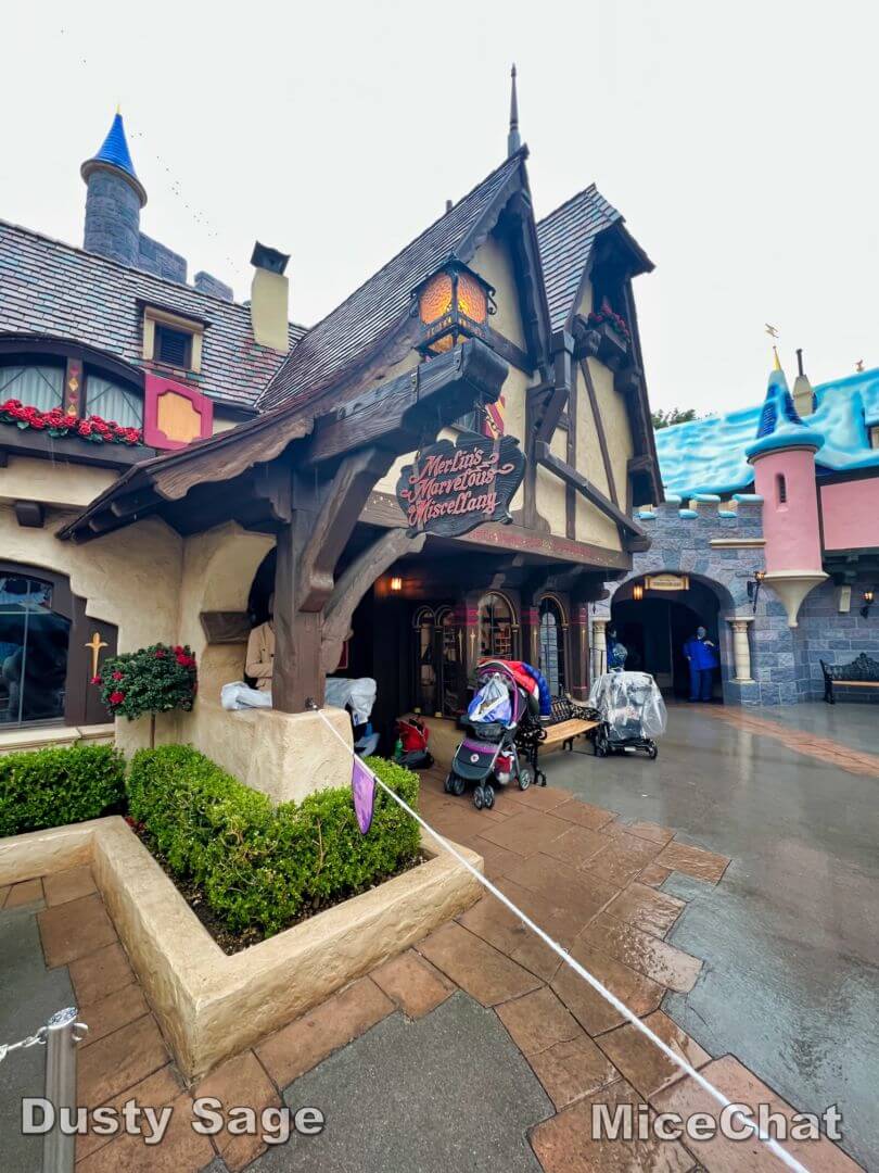 , Disneyland Update – New Year Magic and Mayhem