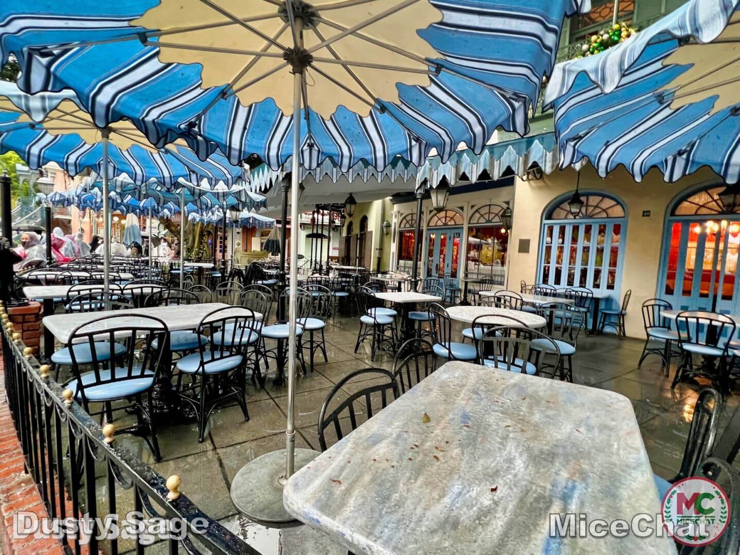 , Disneyland Update – New Year Magic and Mayhem