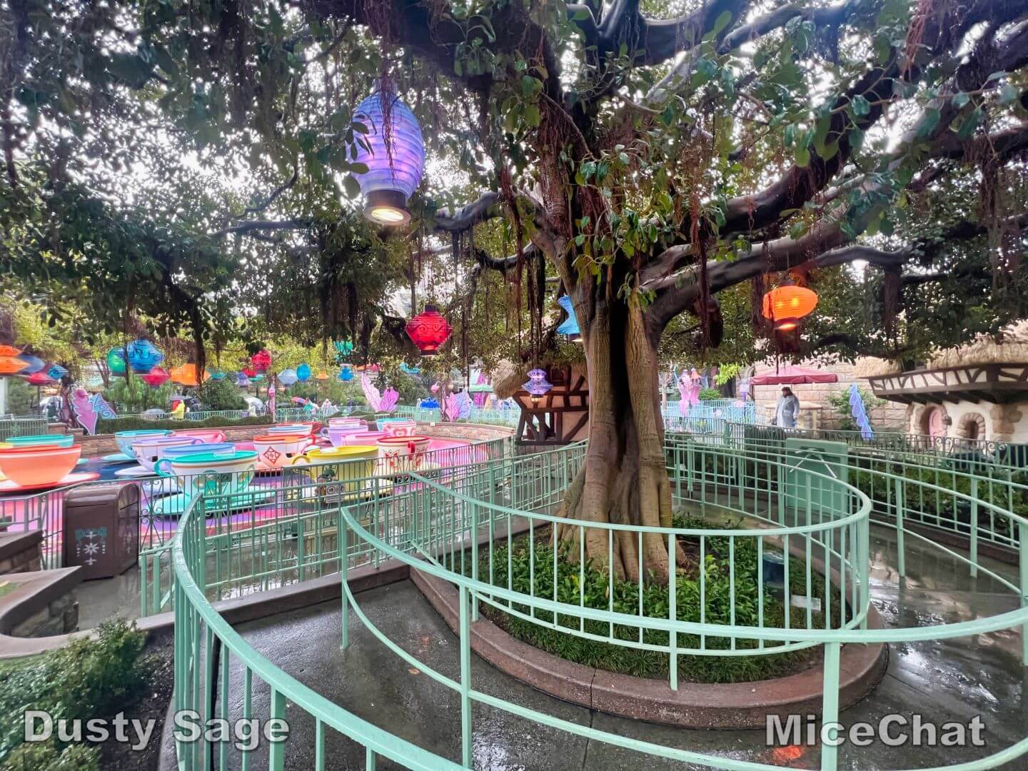 , Disneyland Update – New Year Magic and Mayhem