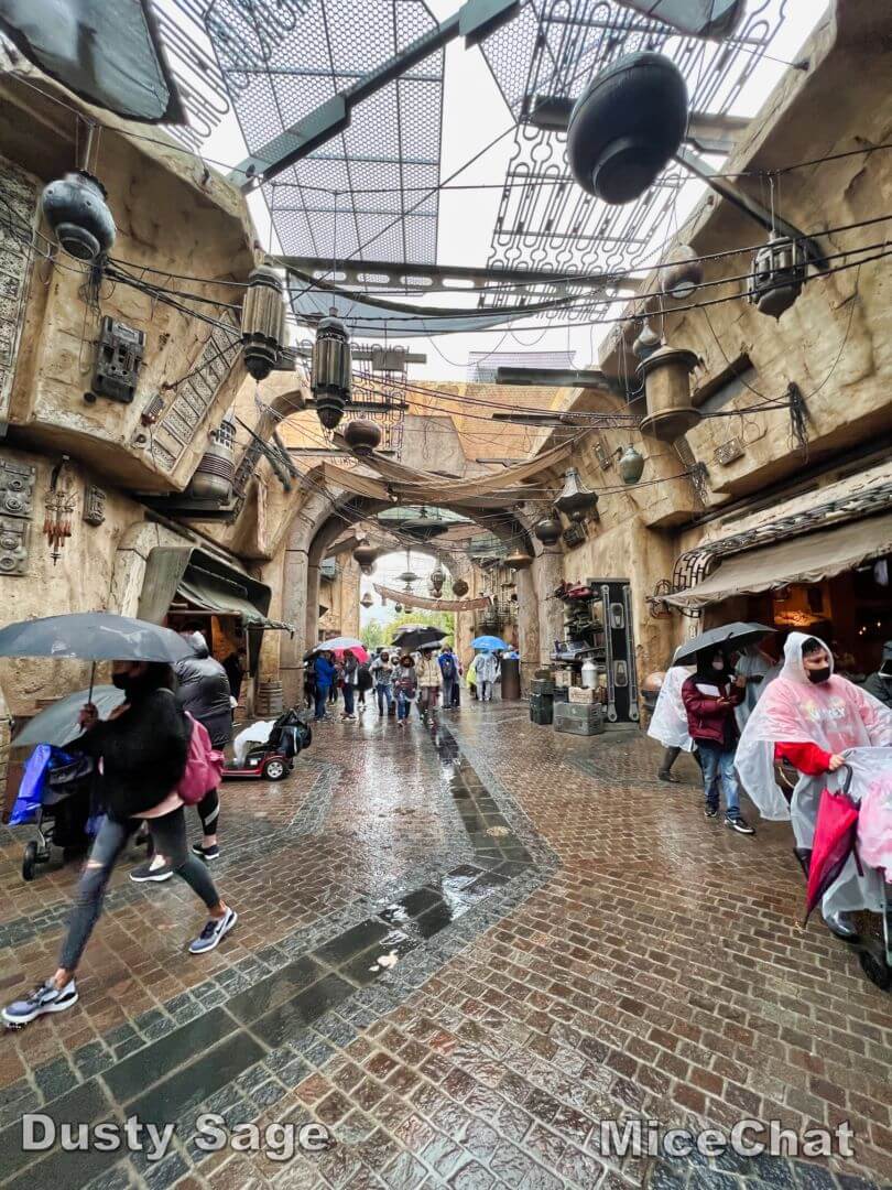 , Disneyland Update – New Year Magic and Mayhem