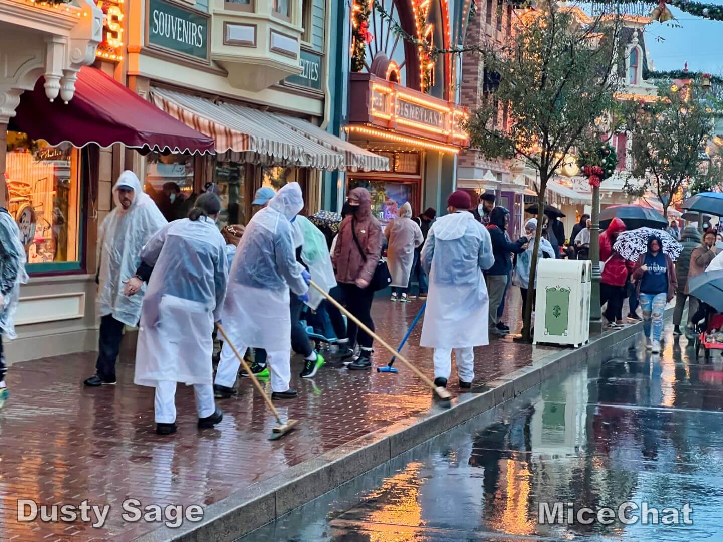 , Disneyland Update – New Year Magic and Mayhem