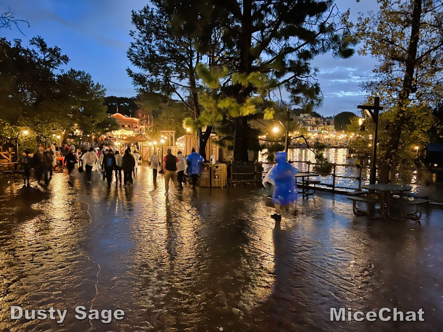 , Disneyland Update – New Year Magic and Mayhem