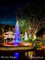 Disneyland Rain night downtown disney fountain 2-micechat