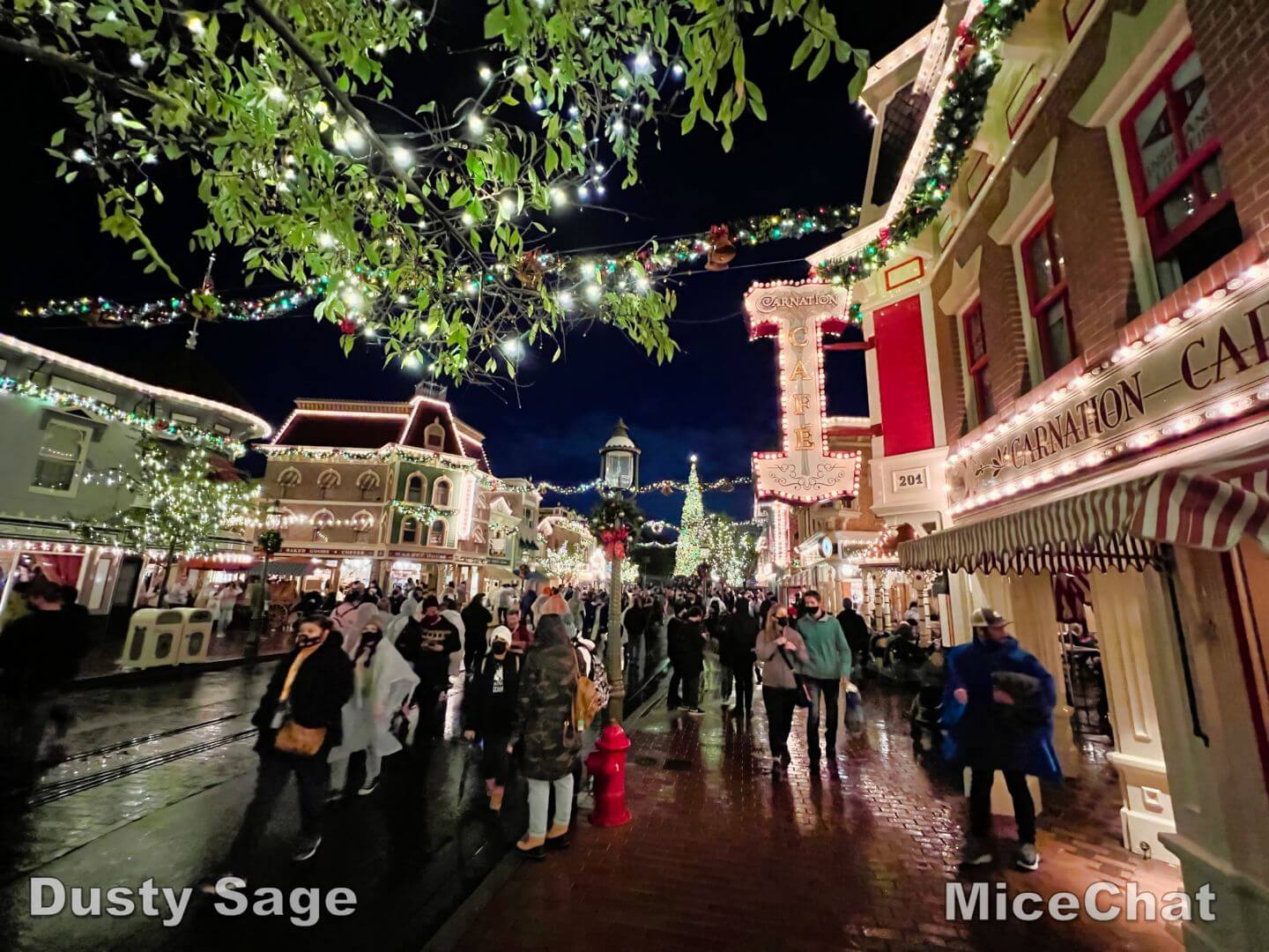 , Disneyland Update – New Year Magic and Mayhem