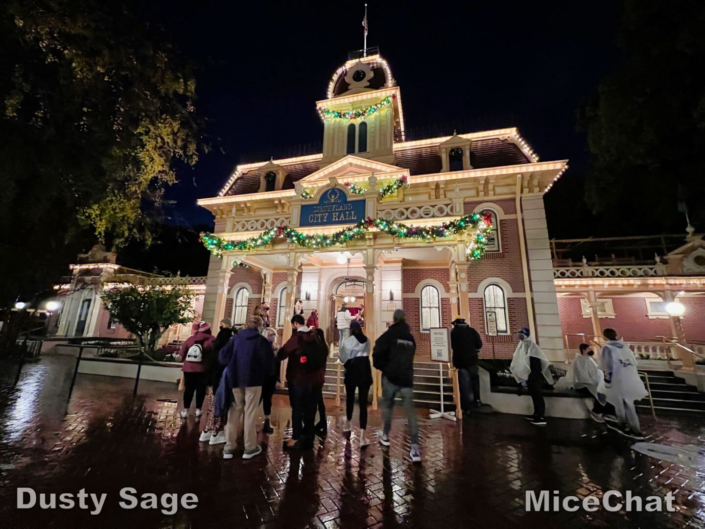 , Disneyland Update – New Year Magic and Mayhem