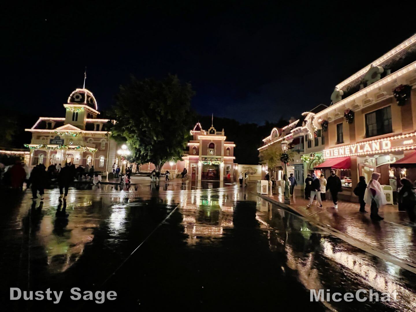 , Disneyland Update – New Year Magic and Mayhem
