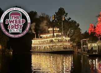 The Sweep Spot # 325 From Disneyland Custodial to Disney Corporate