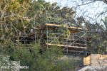 Disneyland_Adventureland_Construction_Tarzan Treehouse-1