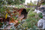 Disneyland_Critter Country_Splash Mountin_Refurbishment-1-5