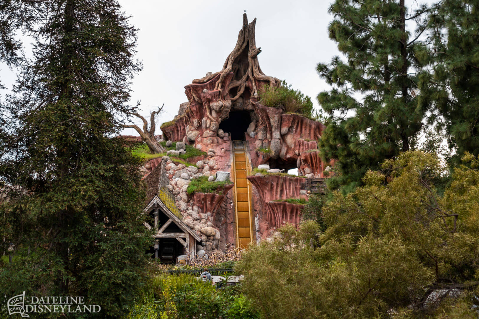 , Dateline Disneyland: Character Conundrum, Spring Sprung & Construction Hum