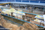 Disneyland_Finding Nemo Submarine Lagoon_Refurbishment-1