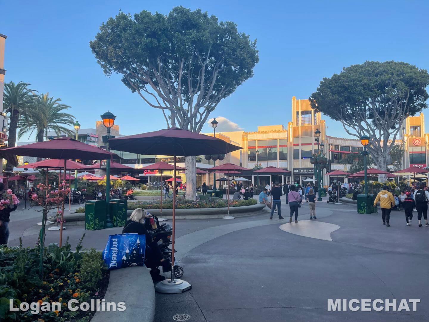 , Disneyland Update – Low Waits & Good Fortune