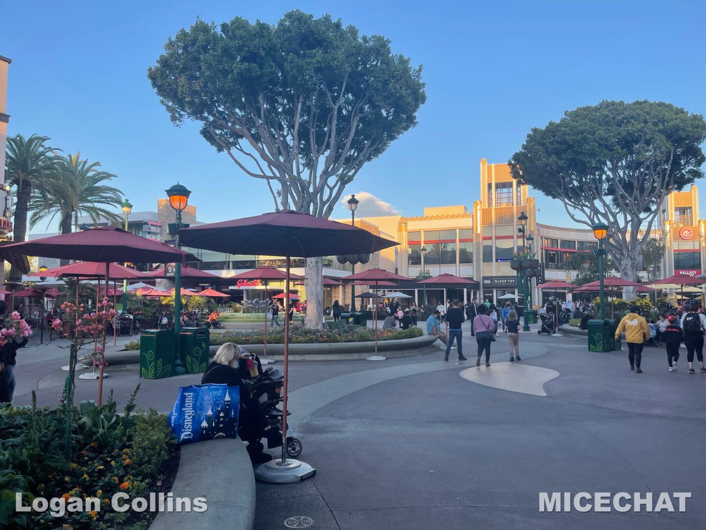 , Disneyland Update &#8211; Low Waits &#038; Good Fortune