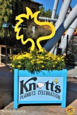 , Knott’s Berry Farm Update: Peanuts Celebration & Park Enhancements