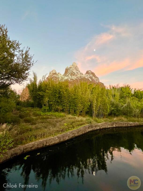 , Walt Disney World Update – Character Shortcuts, Price Increases, Construction Progress