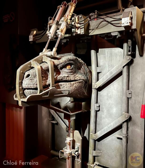 , Universal Orlando Update – Beautiful Days and Mardi Gras on the Way!