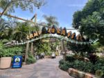 Photo_32Universal_Orlando_Studios_Islands_of_adventure