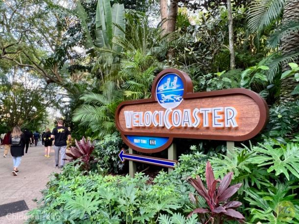 , Universal Orlando Update – Beautiful Days and Mardi Gras on the Way!