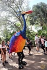 Photo_3Animal Kingdom Kevin UP