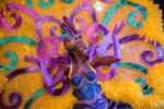 04_Universal Orlando’s Mardi Gras