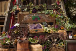 Knott’s Boysenberry Festival 2022 – Boysenberry Festival Decorations