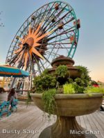 DCA Pal A Round-micechat
