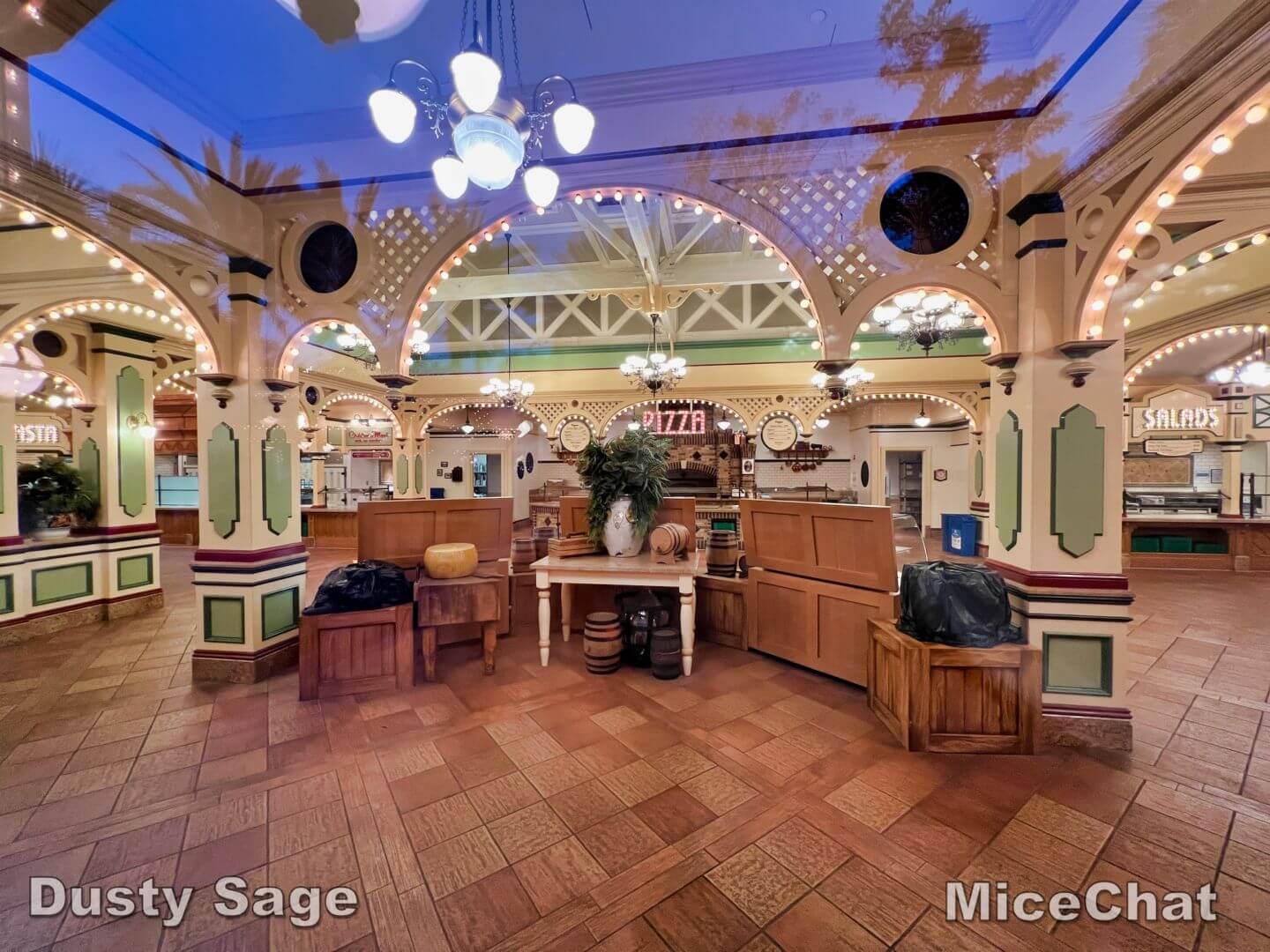, Disneyland Update – Relighting the Night, Trams Take Flight, Out of Sight