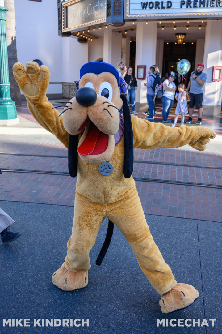 , Disneyland Update – Flattening New Orleans Square & Evil Genie Tricks