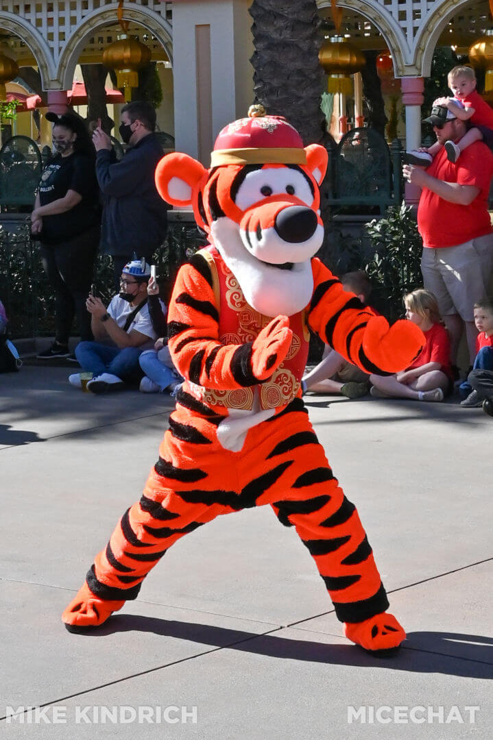 , Disneyland News Update: Success Ruins Everything