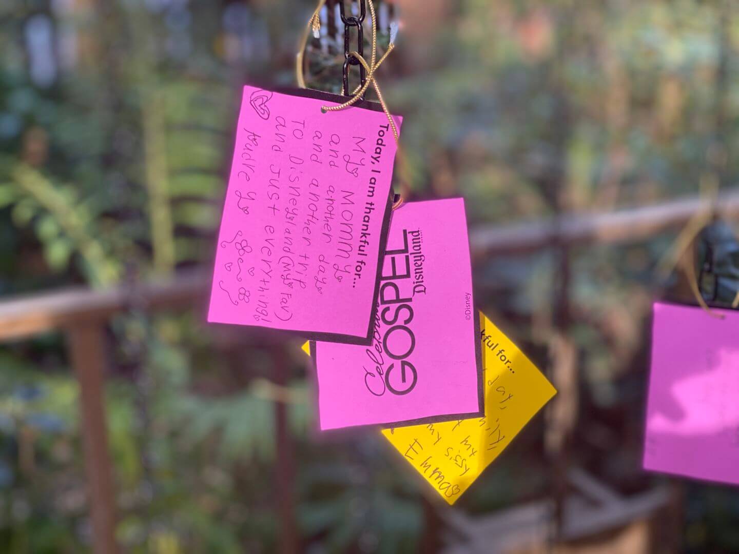 Disneyland - Celebrate Soulfully Gratitude Wall