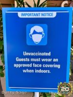 Disneyland Masks-micechat