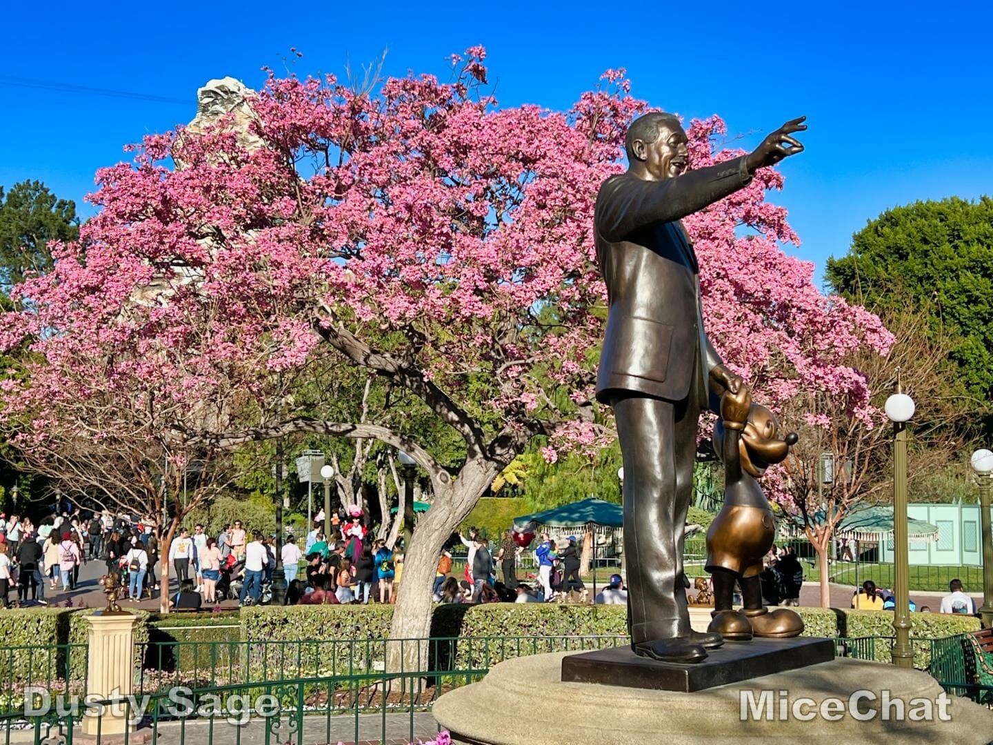 , Disneyland Update – Flattening New Orleans Square & Evil Genie Tricks