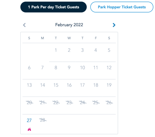 , Disneyland Update – Relighting the Night, Trams Take Flight, Out of Sight