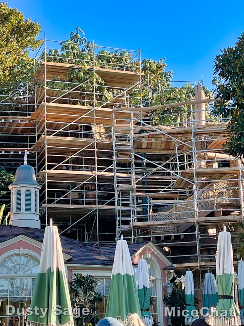 , Disneyland Update &#8211; Relighting the Night, Trams Take Flight, Out of Sight