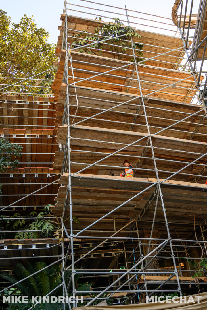 , Disneyland Update – Flattening New Orleans Square & Evil Genie Tricks
