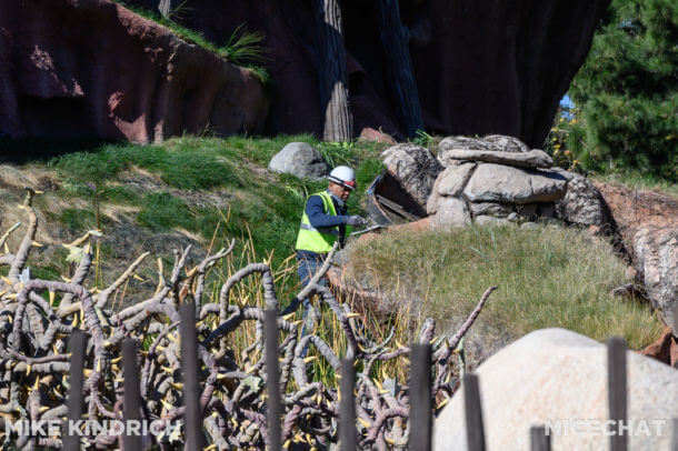 , Disneyland News Update: Success Ruins Everything