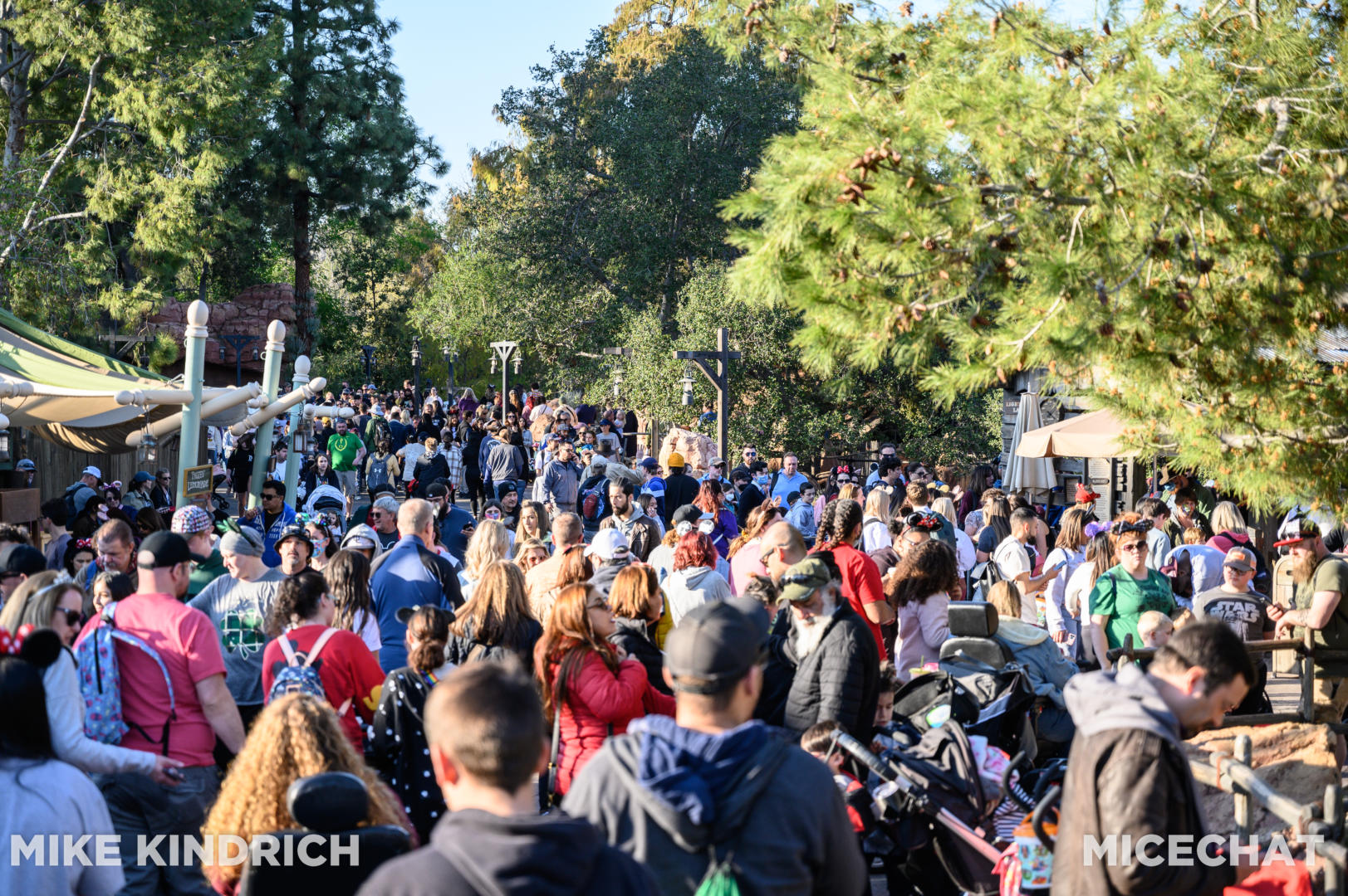 , Disneyland Update – Actions Speak Louder Than Words
